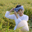 Women in rice fields