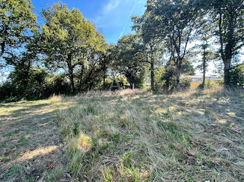 terrain à Saint-Maixent-sur-Vie (85)