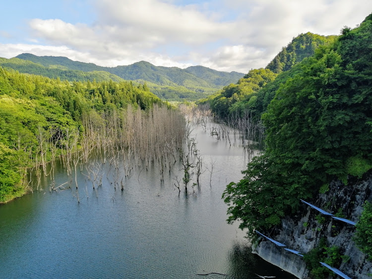 アクアの秋田県・青森県・白神山地に関するカスタム事例の投稿画像3枚目
