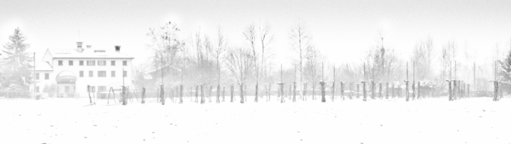 Paesaggio invernale di MicheleFaggian