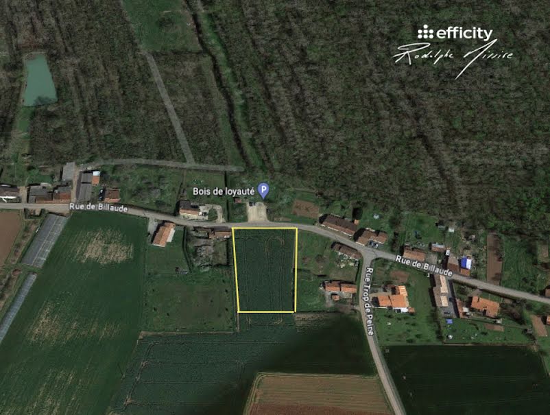 Vente terrain  3820 m² à Doix lès Fontaines (85200), 95 500 €