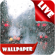 Real Rain Live Wallpaper hd 2018 raindrops  Icon