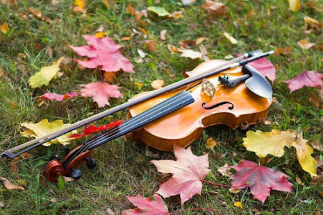 LEARN VIOLIN FAST(圖1)-速報App