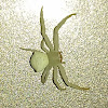 Masked crab spider