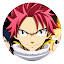 Erza Scarlet  Top Anime New Tabs HD Themes