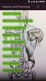 Anatomy and Physiology For Nurses