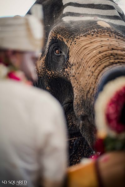 Fotógrafo de casamento Diniru Abeysuriya (dsquared). Foto de 27 de janeiro