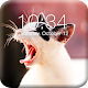 Download Funny Cat PIN Screen Lock For PC Windows and Mac 1.0