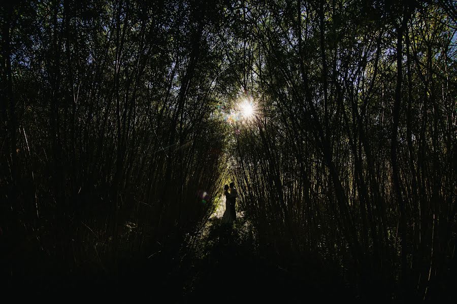 Fotografo di matrimoni Damian Dombrowski (damiandombrowsk). Foto del 1 settembre 2016