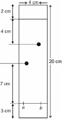 Chromatography