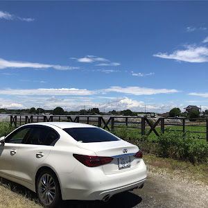 スカイライン YV37