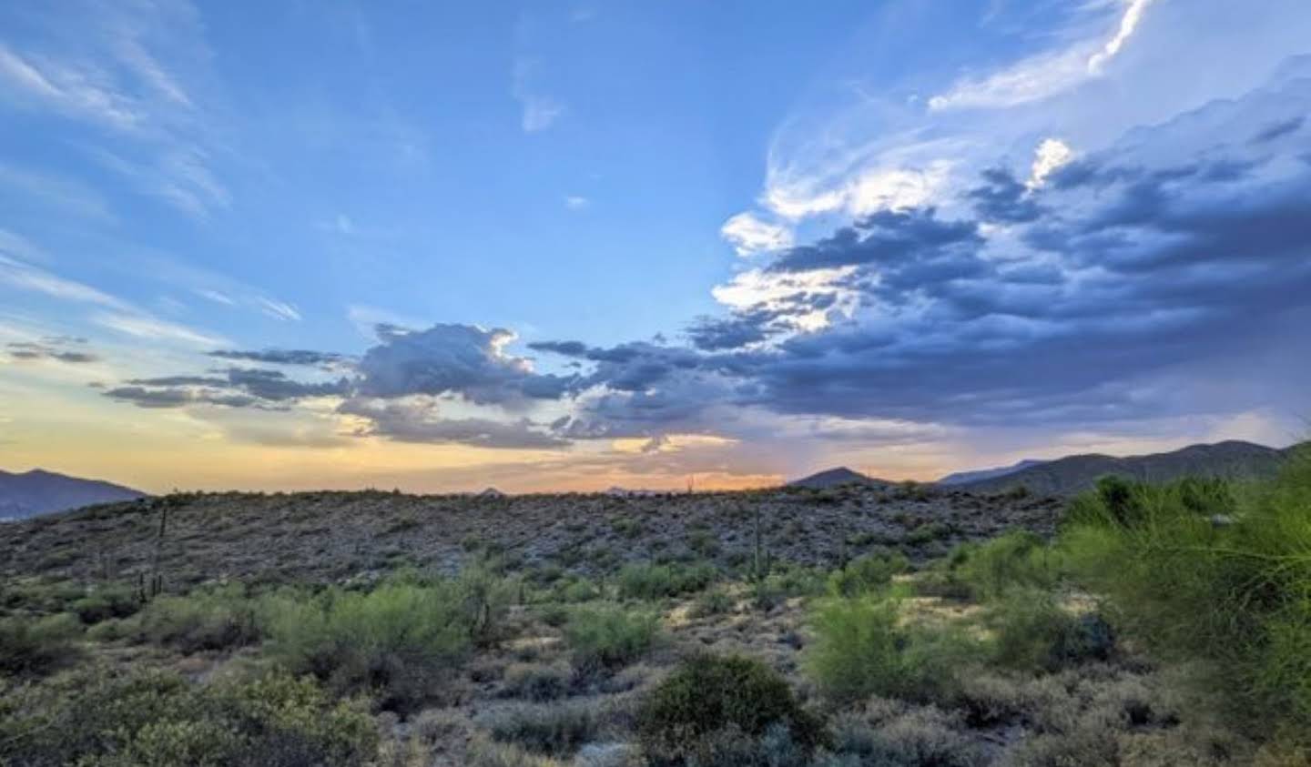 Terrain Scottsdale