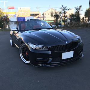 Z4 E89