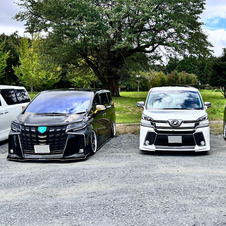 ヴェルファイアのアルヴェル交流会・関東輩会・ハロウィンの前に被り物⁉️・被せて欲しいタイプ🫣・被せて安心🤭に関するカスタム事例の投稿画像5枚目