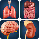 My Organs Anatomy 2.8 загрузчик