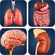 Download My Organs Anatomy For PC Windows and Mac 1.2