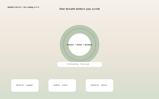 Mindful Media — Gentle Pause for Social Media screenshot 3