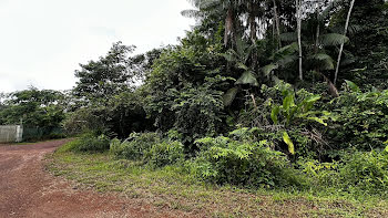 terrain à Cayenne (973)