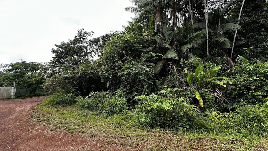 Vente terrain  10000 m² à Cayenne (97300), 46 900 €