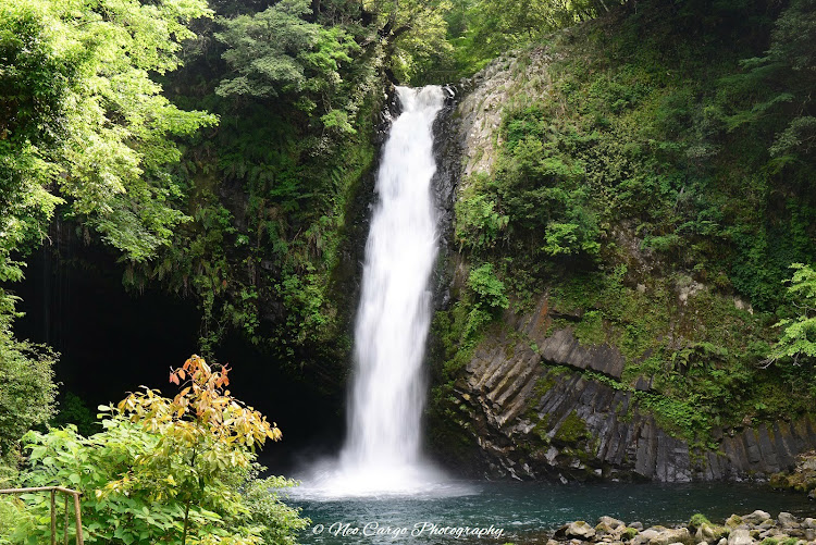 の投稿画像4枚目