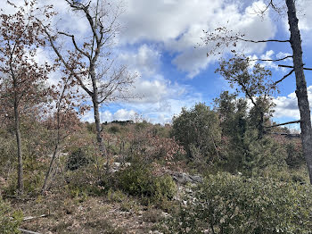 terrain à Saint-Julien (83)