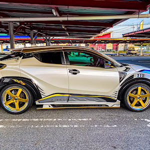 C-HR ZYX11