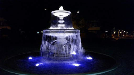 Schwanenbrunnen am Beethovenplatz