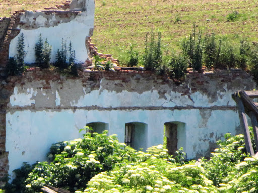 Transylvanian Winery România 2016