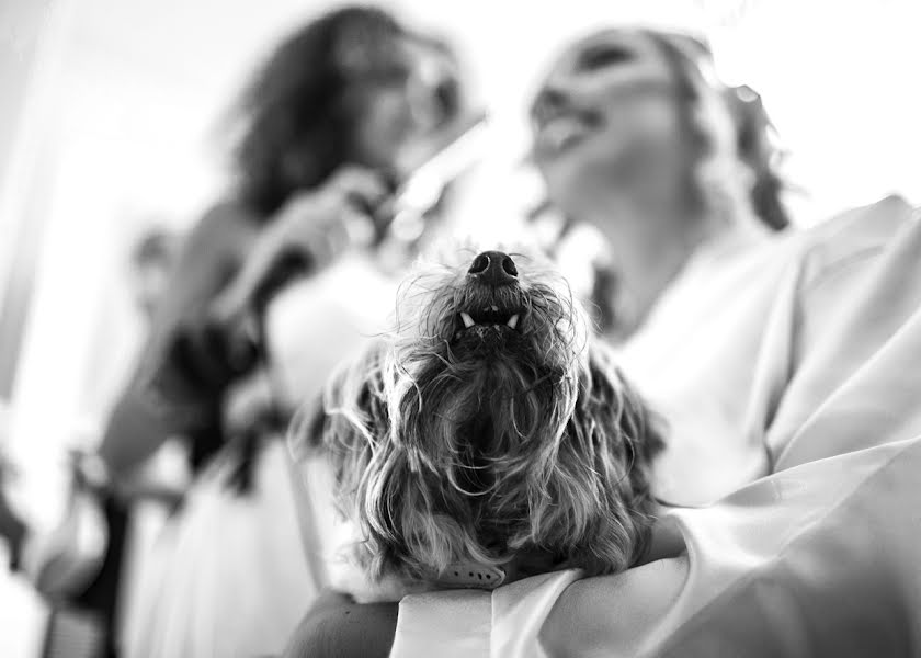 Photographe de mariage Paolo Giovannini (annabellafoto). Photo du 21 septembre 2014