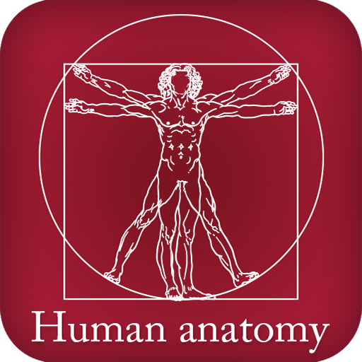 Human Anatomy 教育 App LOGO-APP開箱王