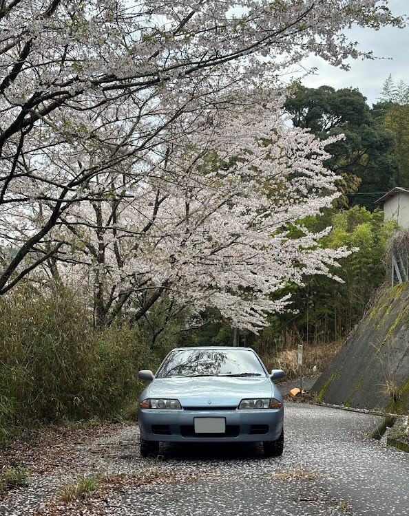 の投稿画像2枚目