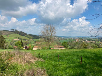 terrain à Ecoche (42)