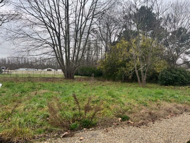 Vente terrain  435 m² à Castelnau-de-Médoc (33480), 118 000 €