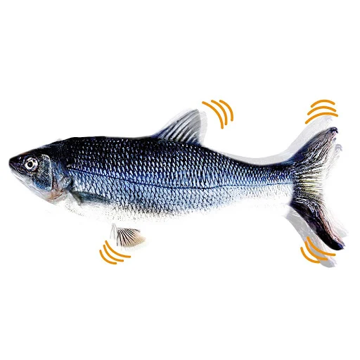 Cat Dog Toy Fish USB Charging Electric Floppy Simulation Fish Interactive Training Teeth Grinding Pet Chew Toys