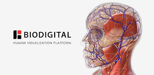 BioDigital Human - 3D Anatomy