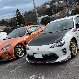 86 ZN6