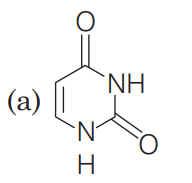 Nucleic Acids