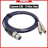 Dây Jack Canon Cái Ra 2 Av (Rca Bông Sen) Dài 1.5Met - 3Met - 5Met, Vang Số Xuống Sub Sup.