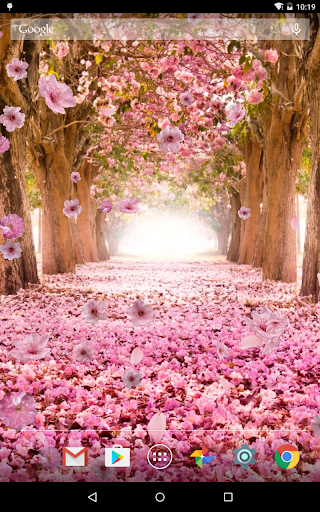 Sakura Live Wallpaper