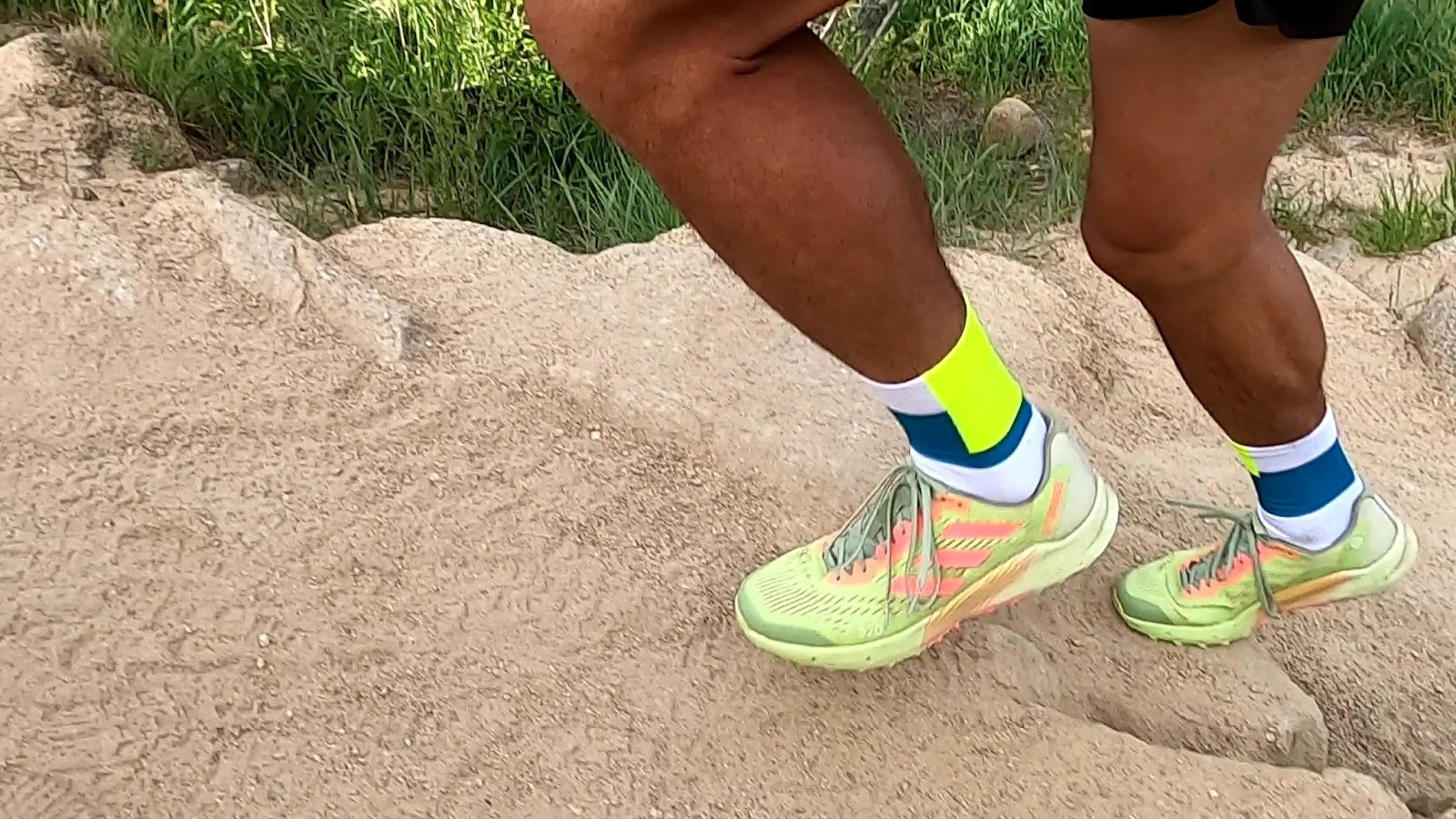 Road Trail Run: adidas Terrex Agravic Flow 2 10 Comparisons