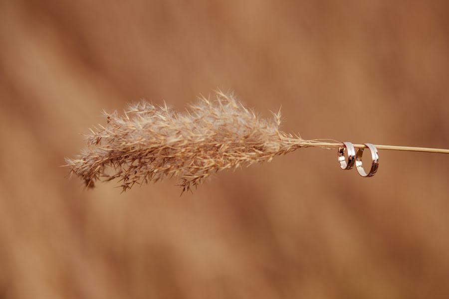 Pulmafotograaf Kseniya Vasilkova (vasilkova). Foto tehtud 8 november 2015