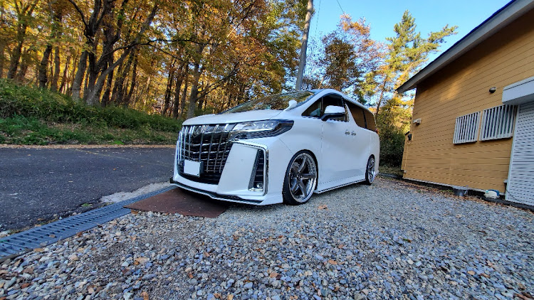 アルファードの紅葉と愛車・アルファード・2020ベストショットに関するカスタム事例の投稿画像1枚目
