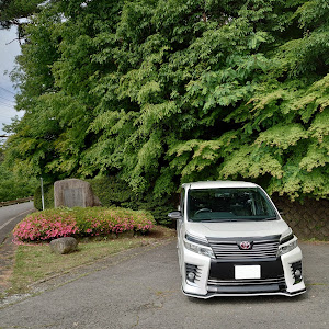 ヴォクシー ZRR80W