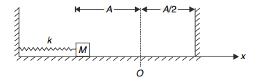 Spring-mass system