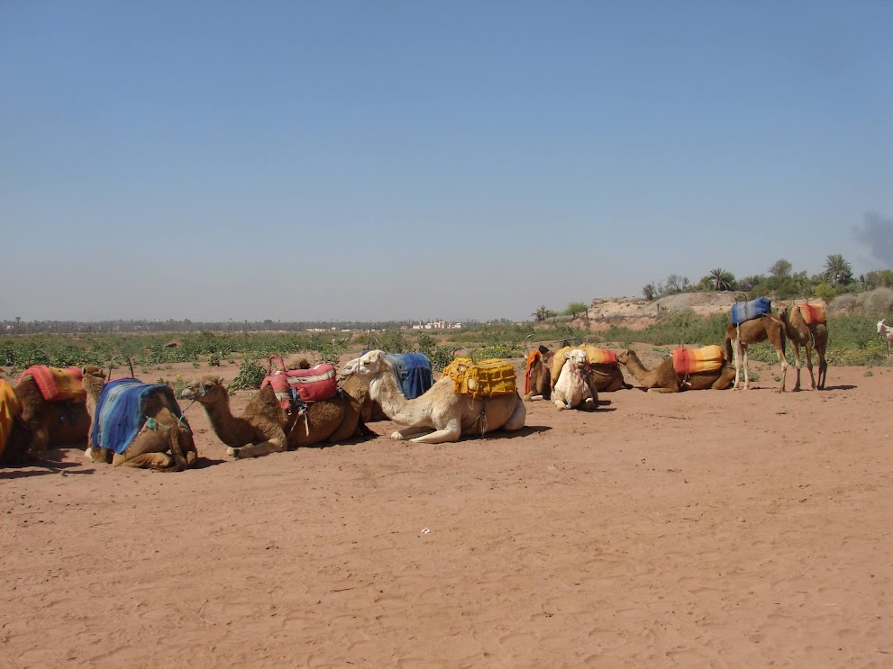 Marrakech