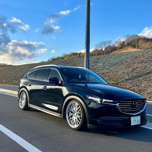 CX-8