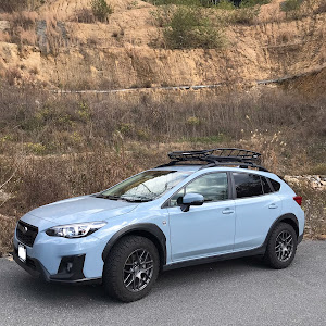 XV