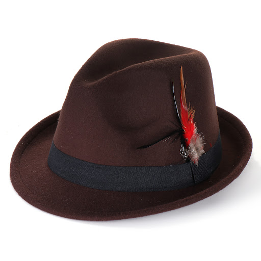 Title 9, Fashion Mens And Womens Woolen Feather Hat