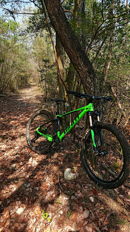 NV350キャラバンのMTB・マウテンバイク・キャラバン・コロナウイルスに負けるなに関するカスタム事例の投稿画像2枚目