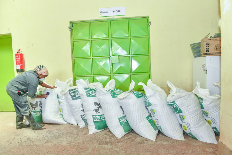 An employee at work at the county run factory in Kiaga Kirinyaga county